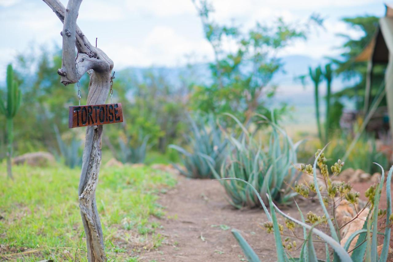 Kidepo Savannah Lodge By Nature Lodges Ltd Loitanit Bagian luar foto